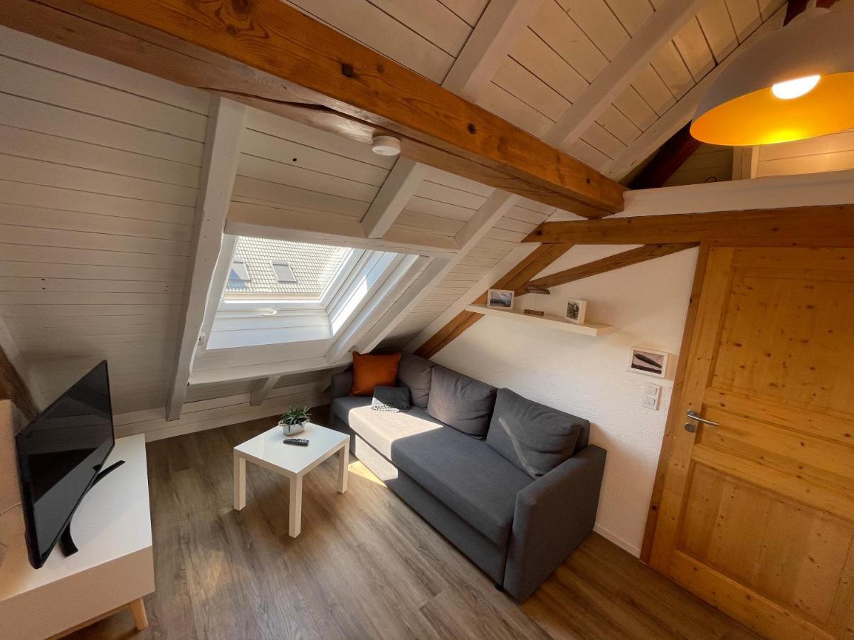 Schneider Apartment